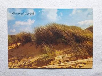 Katwijk - Groeten uit. Duintop met helmgras beschikbaar voor biedingen