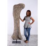 Dinosaurs Titanosaur Femur - Dinosaurus decoratie - 238 cm, Ophalen, Nieuw