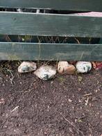 SIERKEIEN ZSM WEG, Tuin en Terras, Ophalen, Overige materialen, Gebruikt, Kei