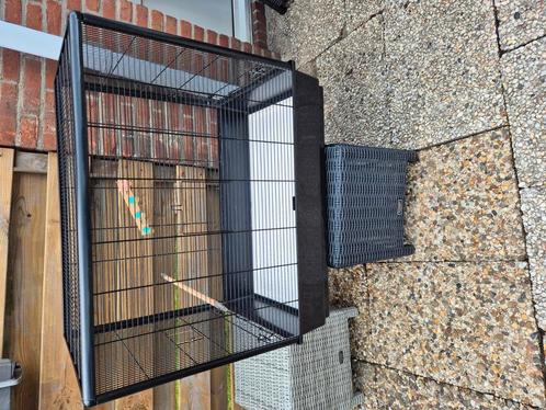 Vogelkooi (moet snel weg ivm verhuizing), Dieren en Toebehoren, Vogels | Hokken en Kooien, Gebruikt, Vogelkooi, Metaal, Ophalen