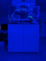 Red Sea Reefer 250L zeeaquarium, incl. apparatuur., Dieren en Toebehoren, Ophalen, Gebruikt, Leeg aquarium