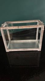 Leuke glazen bak, Ophalen of Verzenden, Zo goed als nieuw, Kweekbak