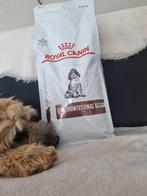 Royal Canin Gastrointestinal puppy 2.5 kg, Dieren en Toebehoren, Ophalen of Verzenden, Hond