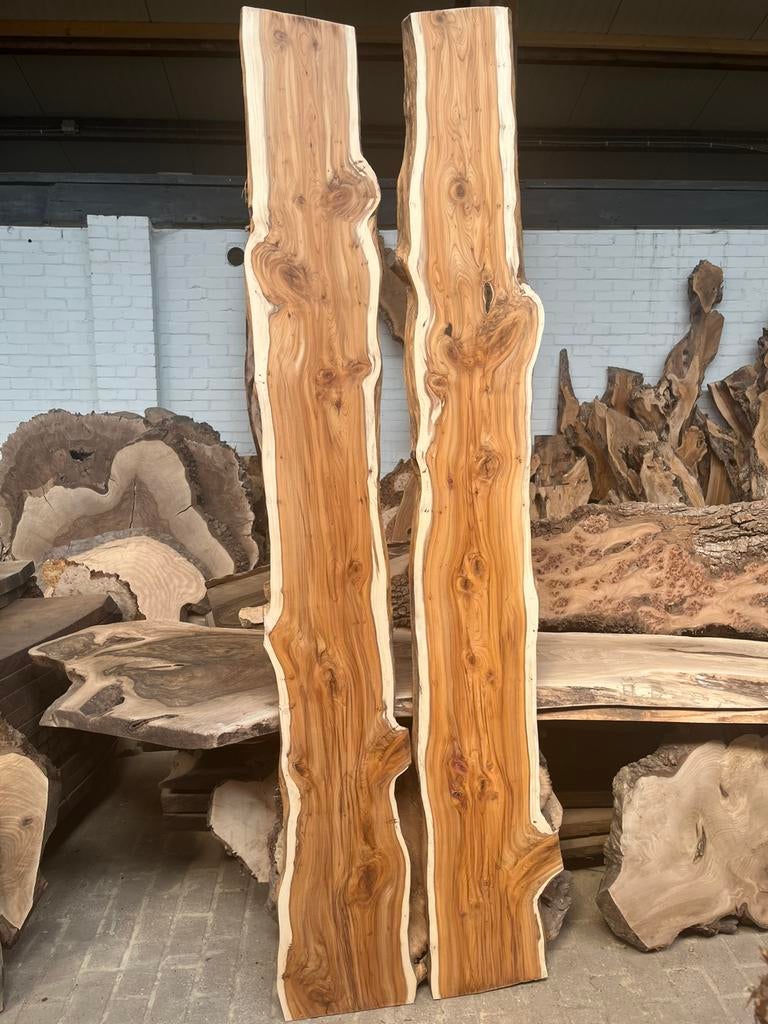 Oud eiken en oud iepen boomstamplanken wandplanken, Ophalen, Nieuw