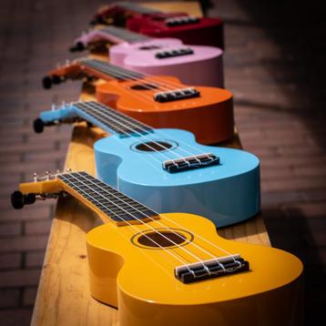 Divers assortiment Ukeleles/ Reisinstrumenten beschikbaar voor biedingen