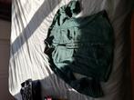 Zara overhemd mt M, Ophalen of Verzenden, Zo goed als nieuw, Groen, Zara
