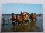 Ansichtkaart Cuxhaven Nordseeheilbad duitsland, Ophalen of Verzenden, Duitsland