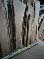 Rest partij droge boomstamplanken met 50% korting op=op, Ophalen, Nieuw