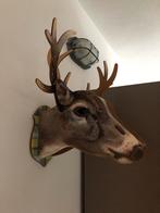 Houten dierenhoofd | hert/eland, Ophalen of Verzenden, Zo goed als nieuw, Wanddecoratie