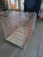 Hondenbenche kooi, Dieren en Toebehoren, Ophalen