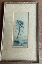 Ets Boom Dirk Harting 1884-1970, Antiek en Kunst, Kunst | Etsen en Gravures, Ophalen of Verzenden