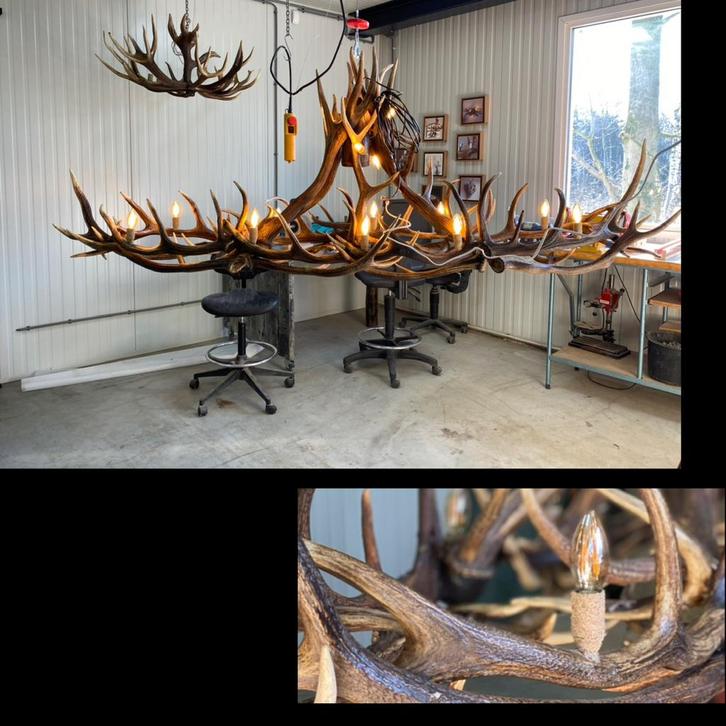 Kroonluchter Geweien, Huis en Inrichting, Lampen | Kroonluchters, Nieuw, Overige materialen, Ophalen of Verzenden