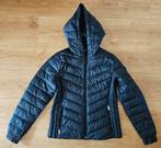 JAS VAN HOLLISTER MAAT M, Hollister, Ophalen of Verzenden, Zo goed als nieuw, Zwart