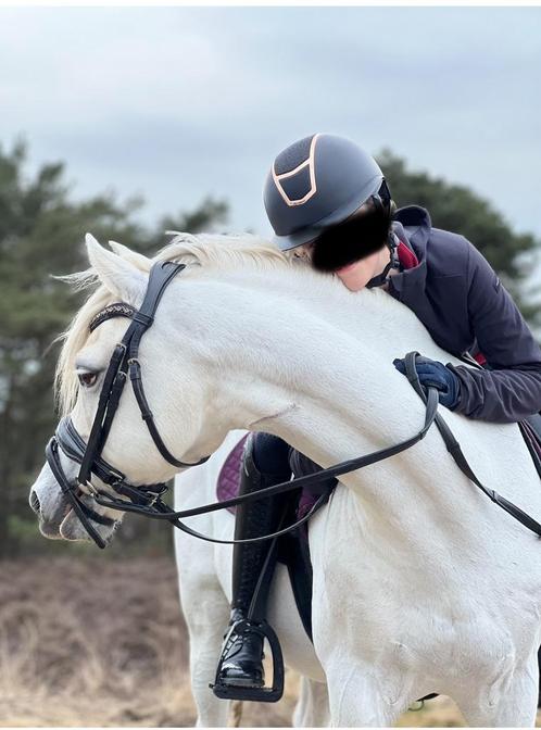 Bomproof sport/bixie C-pony, schimmel , ruin te koop, Dieren en Toebehoren, Pony's, Ruin, M, C pony (1.27m tot 1.37m), Springpony