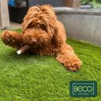 Kunstgras mooie en betaalbare soorten, Ophalen, Nieuw, 20 m² of meer, Kunstgras