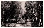 Veluwe - Berkenlaantje (1958), Verzenden, 1940 tot 1960, Gelopen, Gelderland