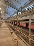 Fienhage systeem, Dieren en Toebehoren, Ophalen, Gebruikt, Overige typen