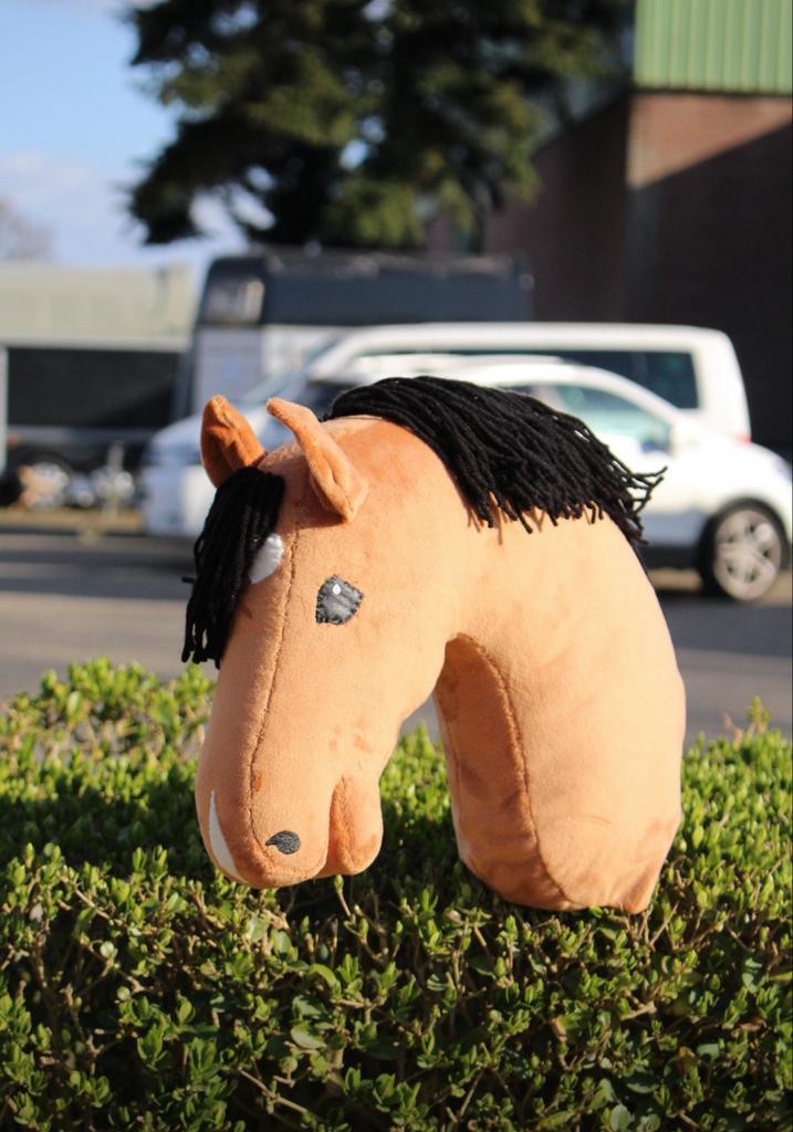 Hobbyhorse Tlm Thunder, Hobby en Vrije tijd, Overige Hobby en Vrije tijd, Ophalen of Verzenden
