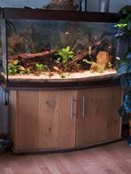Te koop Juwel aquarium, Dieren en Toebehoren, Ophalen