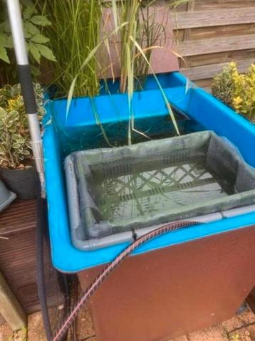 Vijver opgroeibak leuke kleine opgroeibak voor de schuur beschikbaar voor biedingen