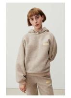 American vintage oversized wollen hoodie nieuw, Kleding | Dames, Truien en Vesten, Nieuw, Beige, American Vintage, Maat 36 (S)