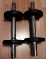 halters dumbells 2 stuks voor de prijs van 1, Ophalen, Gebruikt, Rug, Halterset