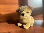 Schattige Knuffel Hond, Kinderen en Baby's, Speelgoed | Knuffels en Pluche, Ophalen of Verzenden, Zo goed als nieuw, Hond