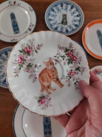 Wandbordjes katten decoratief beschikbaar voor biedingen