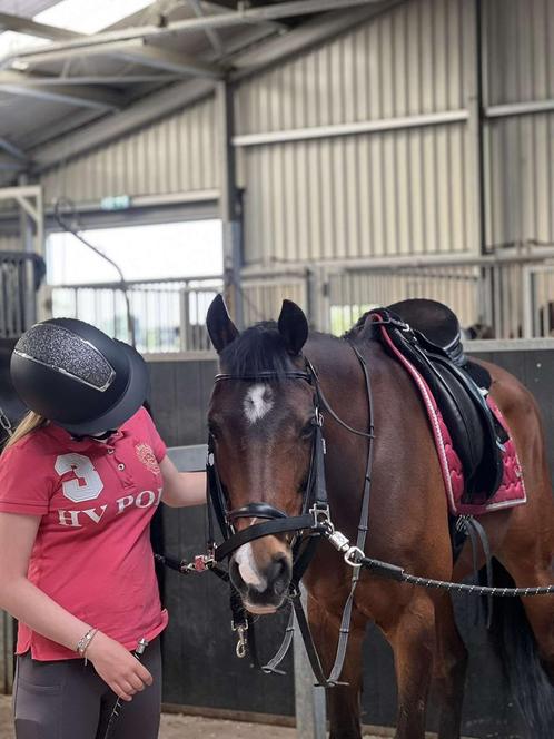 Bijrijdpony/paardje gezocht, Dieren en Toebehoren, Paarden en Pony's | Verzorgingsproducten, Zo goed als nieuw, Ophalen of Verzenden