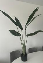 Kunstplant strelitzia 125 cm hoog, Ophalen, Nieuw, Binnen