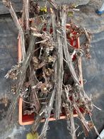 Druivenhout voor kerststukken of bloemschikken 0,50 per stuk, Ophalen of Verzenden, Zo goed als nieuw