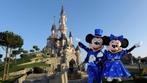 Ticket Disneyland Parijs 3 en 4 januari 2 parken, Tickets en Kaartjes, Eén persoon
