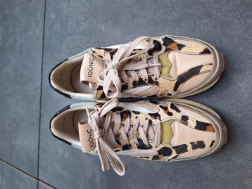 Iqonic sneakers leer 36 beschikbaar voor biedingen