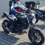 Dainese motorpak mt 36/38, Motoren, Kleding | Motorkleding, Ophalen, Dainese, Combipak, Dames