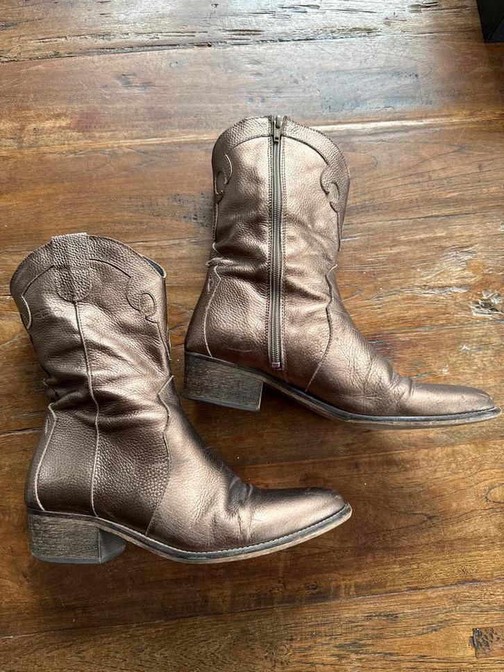 Roberto d'Angelo / RDA laarzen - maat 40, Kleding | Dames, Schoenen, Gedragen, Lage of Enkellaarzen, Bruin, Ophalen of Verzenden