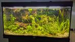 Juwel Rio 350 + Juwel onderkast + Eheim Extern Filter, Ophalen, Gebruikt, Leeg aquarium