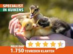 Oud-Hollandse kwaker kuikentjes | Gesekste eenden kuikens, Meerdere dieren, Eend