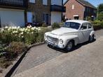Volvo PV 544, Auto's, Achterwielaandrijving, Beige, 1580 cc, 60 pk