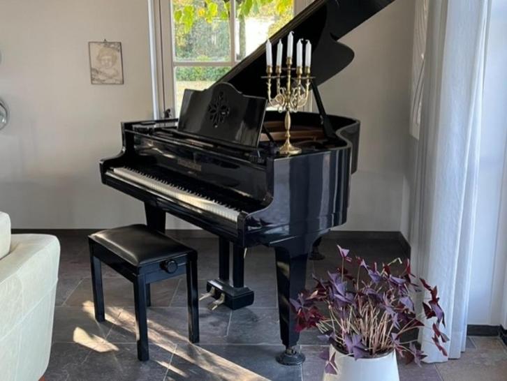 Vleugel, Muziek en Instrumenten, Piano's, Ophalen