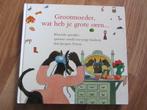 Piraten / Dieren / Boten / Grootmoeder boeken, Boeken, Kinderboeken | Jeugd | onder 10 jaar, Ophalen of Verzenden, Jacques Vriens