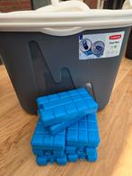 Curver Koelbox 32L + 8 Koelelementen - Antraciet, Ophalen of Verzenden, Zo goed als nieuw, Koelbox, Koelelement