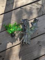 aquarium decoraties, Ophalen, Zo goed als nieuw, Plant(en), Steen of Hout