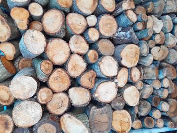 Gemixt brandhout/ Haardhout beschikbaar voor biedingen