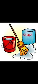 schoonmaak toppers gezocht!!!, Overige niveaus, Starter, Overige vormen