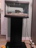 Ferplast aquarium zonder vissen, Dieren en Toebehoren, Vissen | Aquaria en Toebehoren, Ophalen, Gebruikt, Leeg aquarium