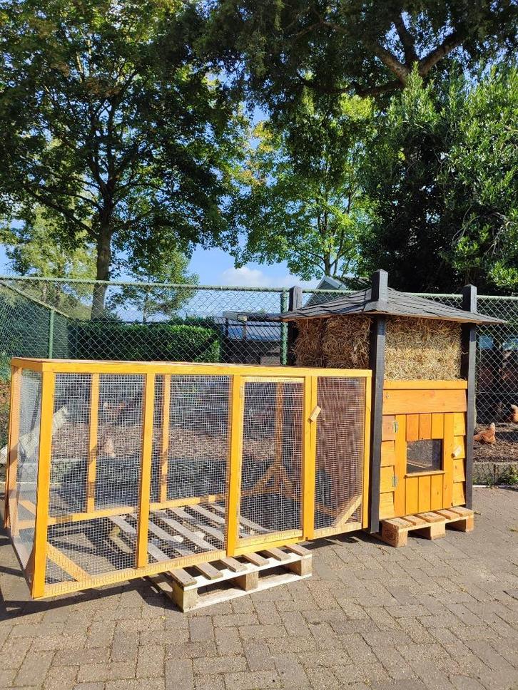kippenhokken, Dieren en Toebehoren, Pluimvee | Toebehoren, Nieuw, Kippenhok of Kippenren, Ophalen