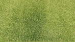 Kunstgras nieuw 6x4 meter 2cm hoog, Tuin en Terras, Gras en Kunstgras, Ophalen of Verzenden, Nieuw, 10 tot 20 m², Kunstgras