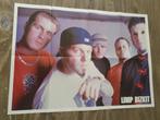 2 Grote xl posters van de band Limp Bizkit, Ophalen of Verzenden, Zo goed als nieuw, Rechthoekig Staand