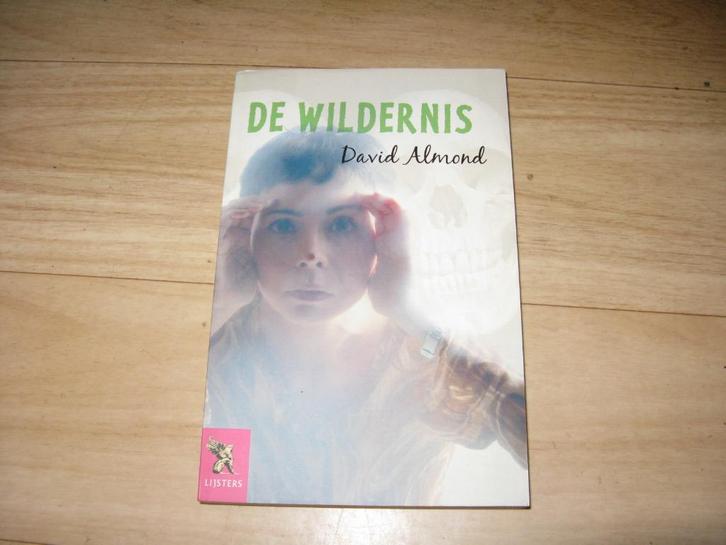 David Almond - De wildernis, Boeken, Kinderboeken | Jeugd | 13 jaar en ouder, Gelezen, Ophalen of Verzenden