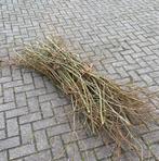 GEZOCHT Wilgen Takken, Ophalen of Verzenden, Gebruikt, Minder dan 180 cm, Overige typen